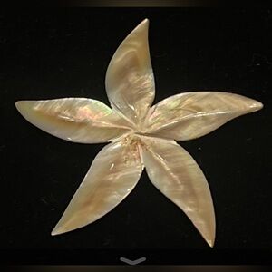 Vintage, Iridescent, Morher of Pearl Starfish Brooch